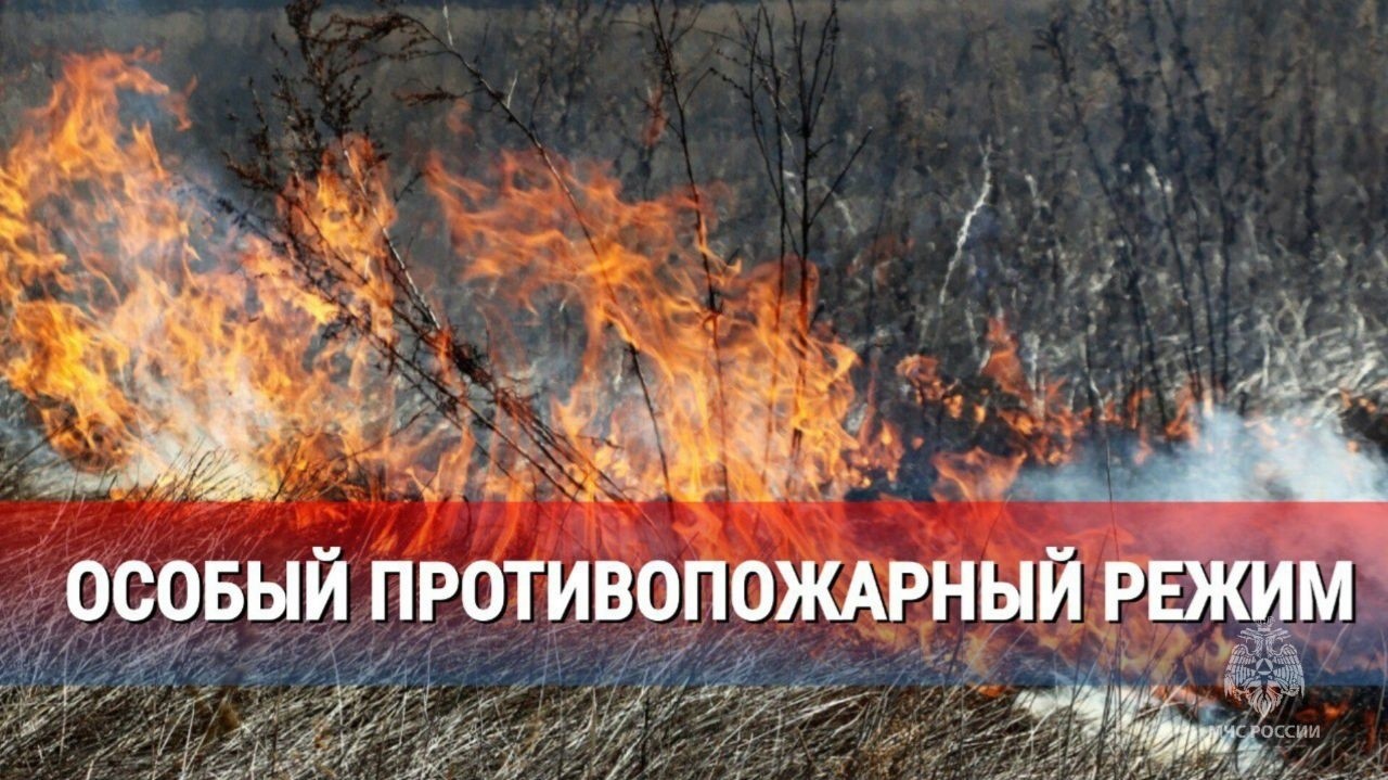 Особый противопожарный режим.